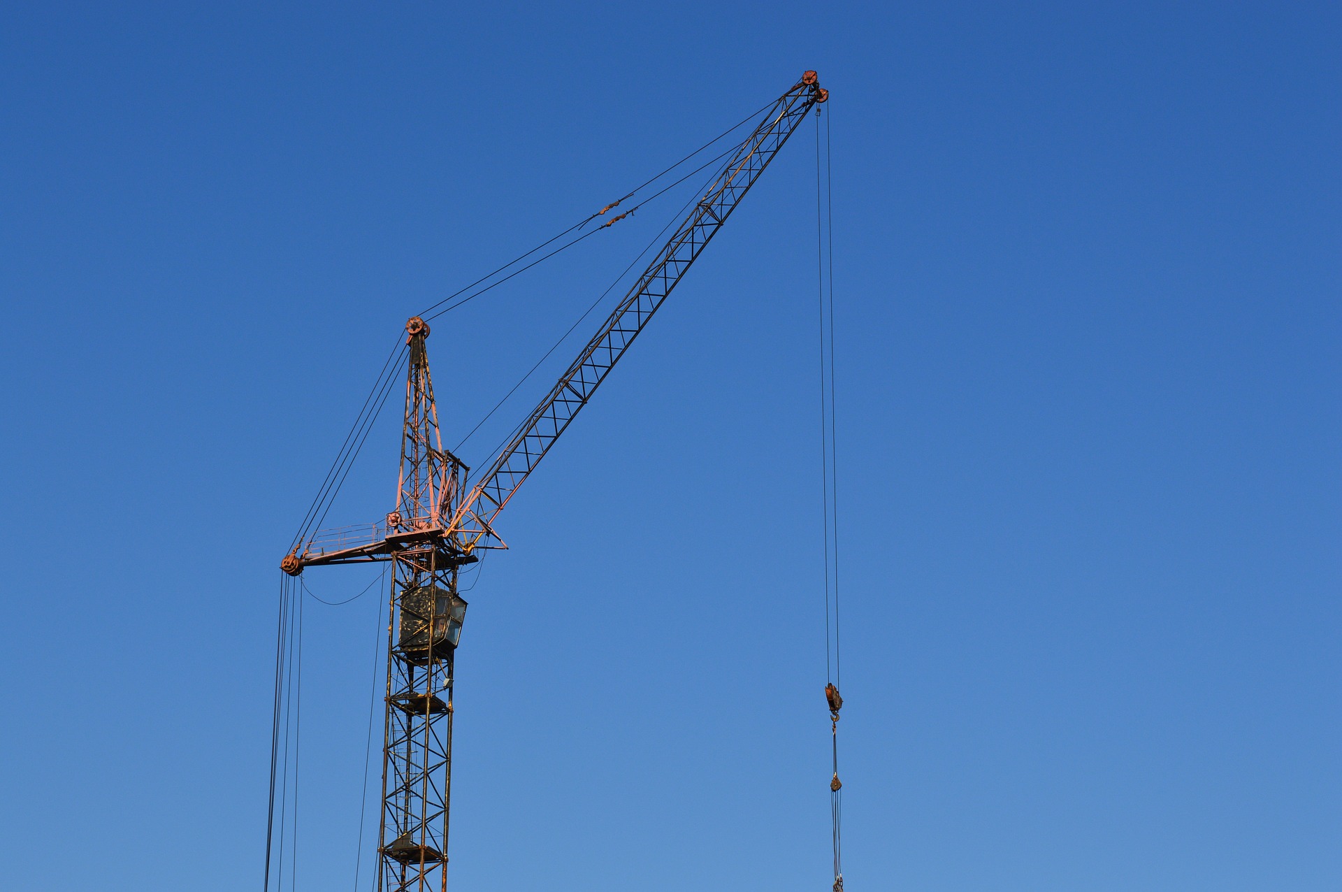 crane-905488_1920