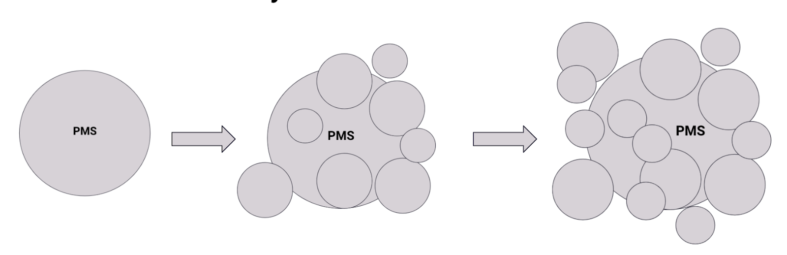 Evolution of the hotel PMS